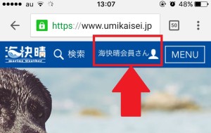 webろぐ海