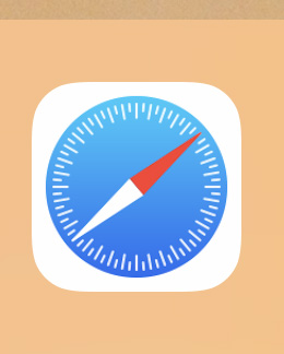 Safari