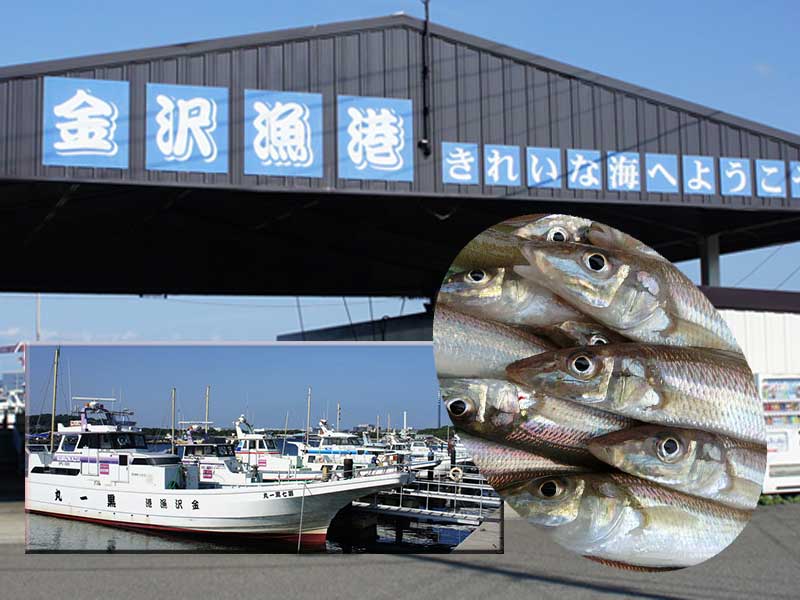 2017金沢漁港第16回シロギス釣り大会