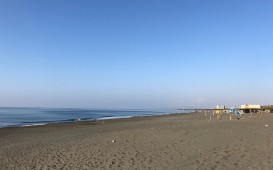 IMG_5927