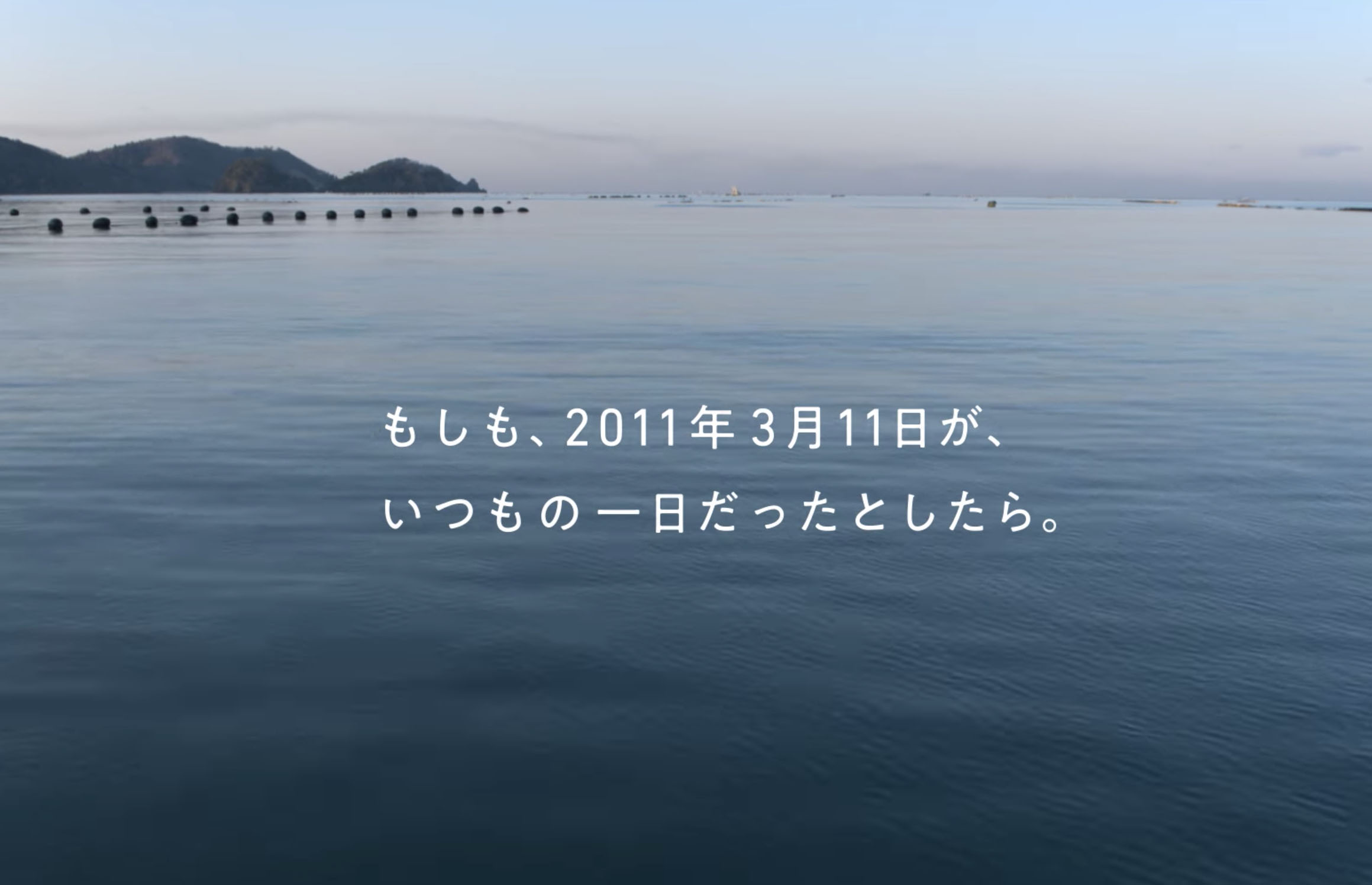 年 月 日 11 3 2011