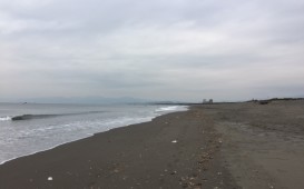 IMG_2777