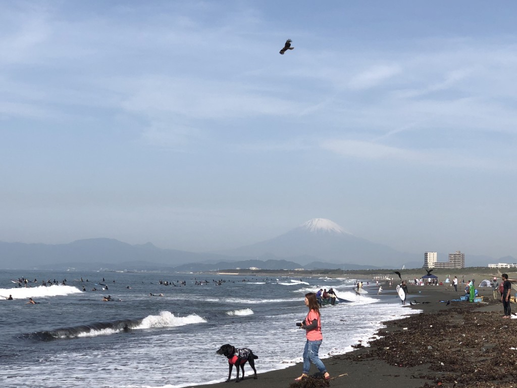 富士山