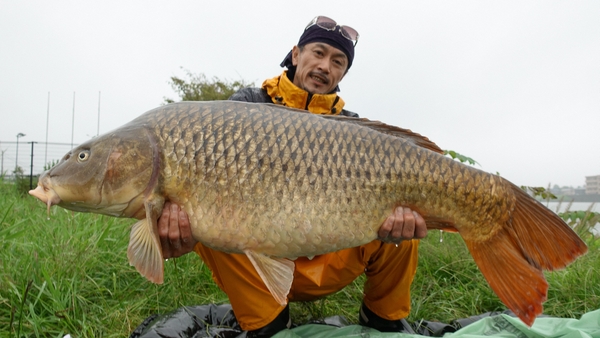 海快晴ニュース ｂｓフジサンデースペシャル 巨大魚 秋の陣 11 11 日 放送