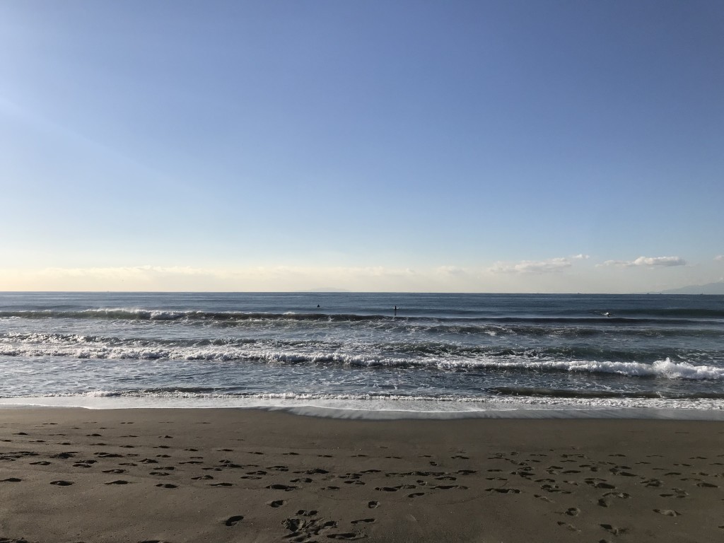image_50368769