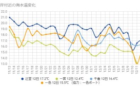 水温グラフ20181113~1212