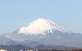 IMG_9380