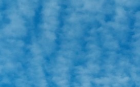 P_20190110_084721