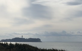 IMG_4889