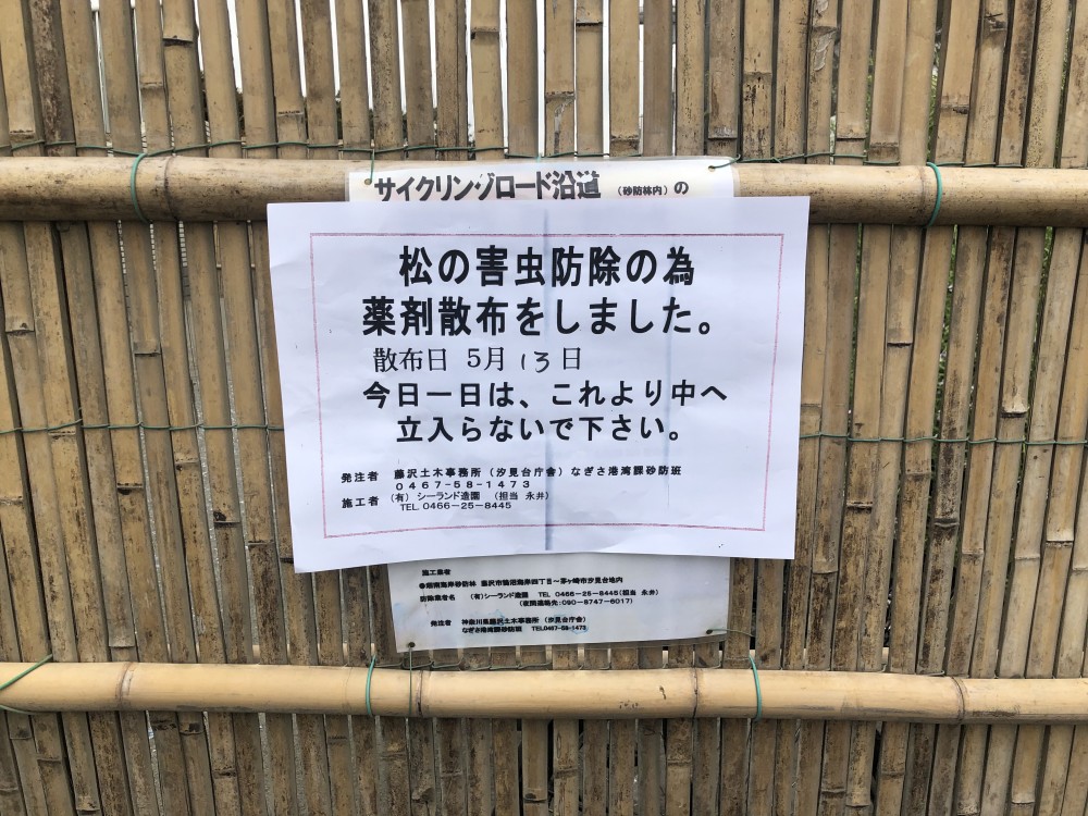 散布