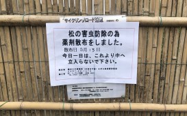 散布