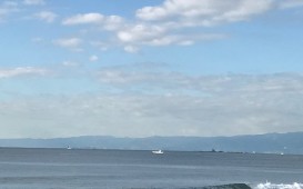 IMG_8444