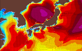 波高31日午前9時