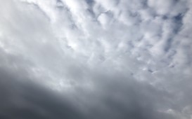 IMG_6005