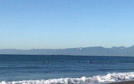 IMG_9451