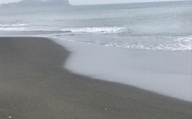 IMG_9879