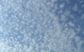 450px-Cirrocumulus_20040830