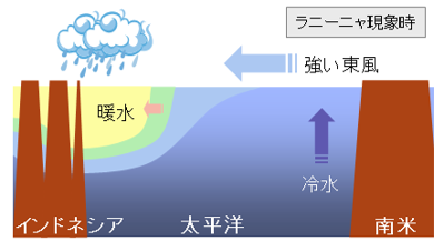 にょ ー える に