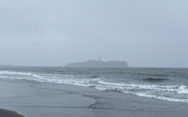 S__6529050