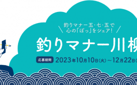 スクリーンショット (813)