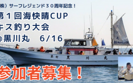 海快晴CUP