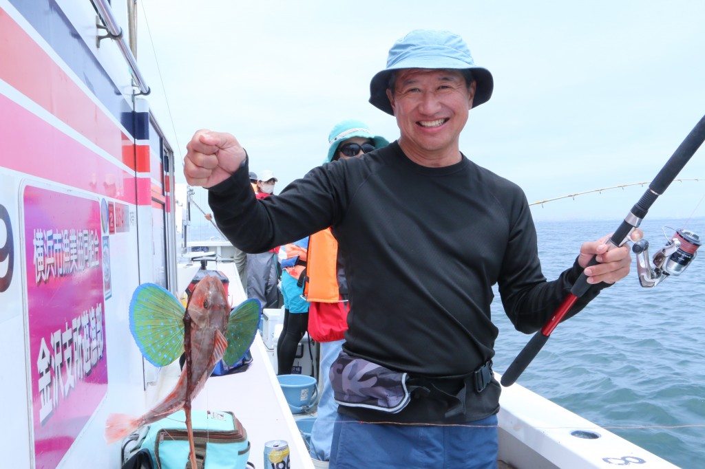 ゲスト魚は「ホウボウ」 