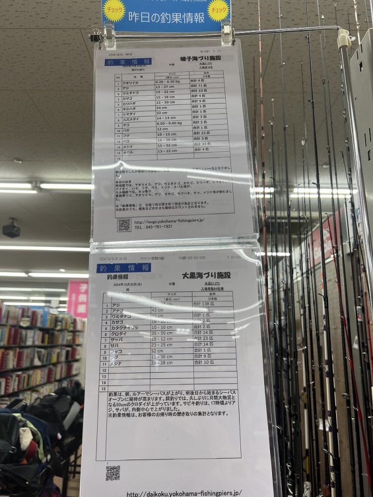近場の釣果情報が掲載