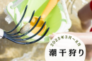 緑 紫 白 シンプル フルーツ ぶどう狩り Instagramの投稿