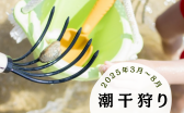 緑 紫 白 シンプル フルーツ ぶどう狩り Instagramの投稿