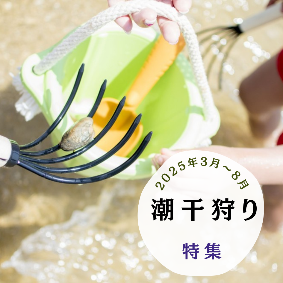 緑 紫 白 シンプル フルーツ ぶどう狩り Instagramの投稿