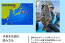 The News (1)