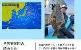 The News (1)