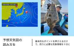 The News (1)