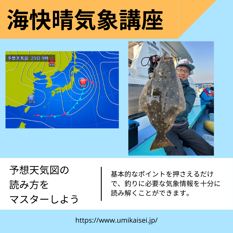 The News (1)