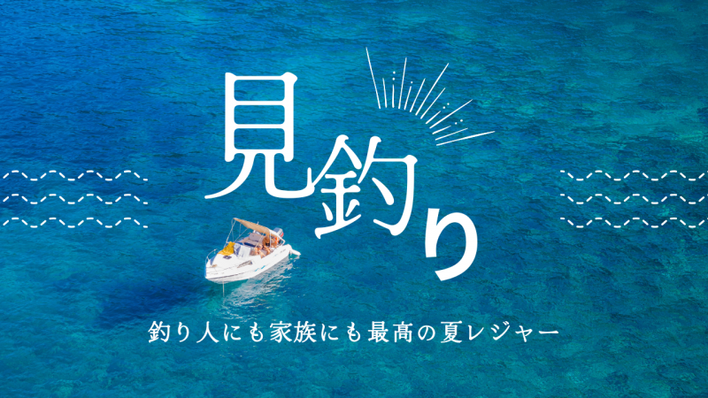 見