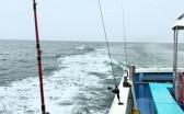 D35E3D56-6B0D-4FFB-9978-792198E29FF9