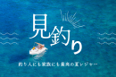 見