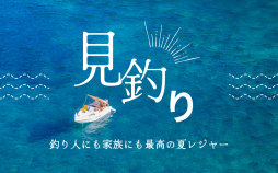 見