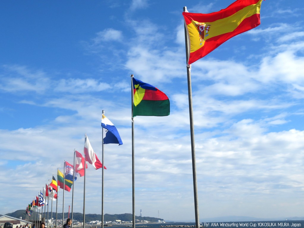 出場選手国旗
