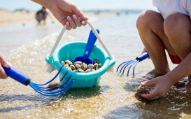 Gemini_Generated_Image_r3szlmr3szlmr3sz