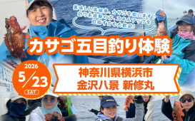 スクリーンショット 2026-03-31 104733