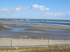 荒浜