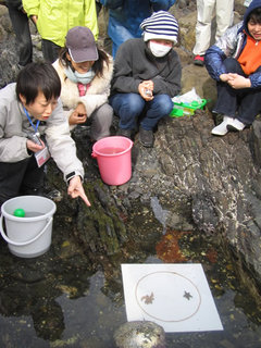 海辺の環境教育フォーラム