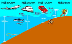 気象庁ﾎｰﾑﾍﾟｰｼﾞより