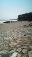 きれいになった小豆浜